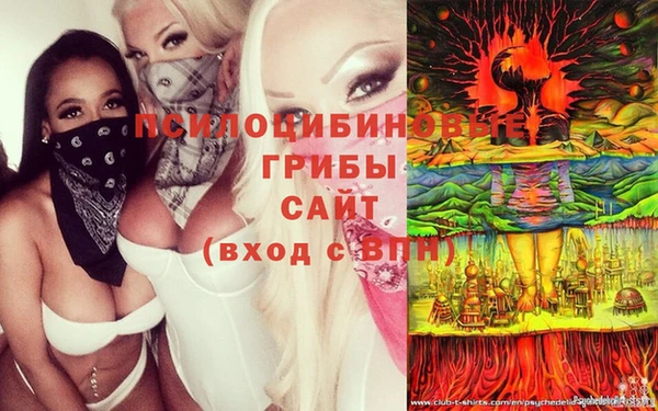 первитин Бежецк