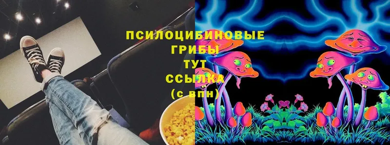 МЕГА ссылка  Калач-на-Дону  Псилоцибиновые грибы MAGIC MUSHROOMS 