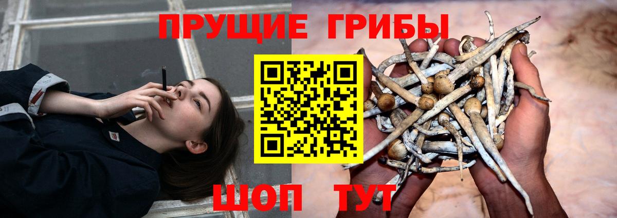 Псилоцибиновые грибы MAGIC MUSHROOMS  цена наркотик  Калач-на-Дону  Вход с VPN 